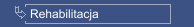 Rehabilitacja